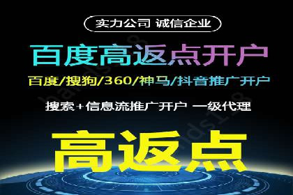行业报告：专业SEM托管的成功实践与挑战